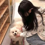 小蚂蚁部落游戏下载